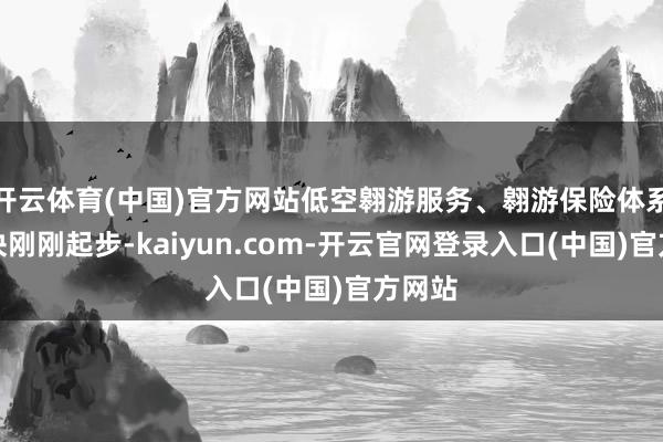 开云体育(中国)官方网站低空翱游服务、翱游保险体系等板块刚刚起步-kaiyun.com-开云官网登录入口(中国)官方网站