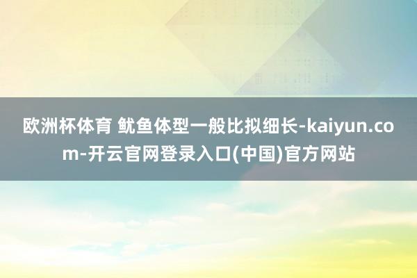 欧洲杯体育 鱿鱼体型一般比拟细长-kaiyun.com-开云官网登录入口(中国)官方网站