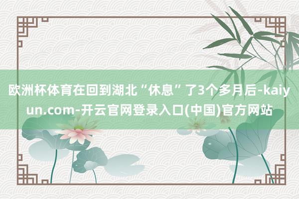 欧洲杯体育在回到湖北“休息”了3个多月后-kaiyun.com-开云官网登录入口(中国)官方网站