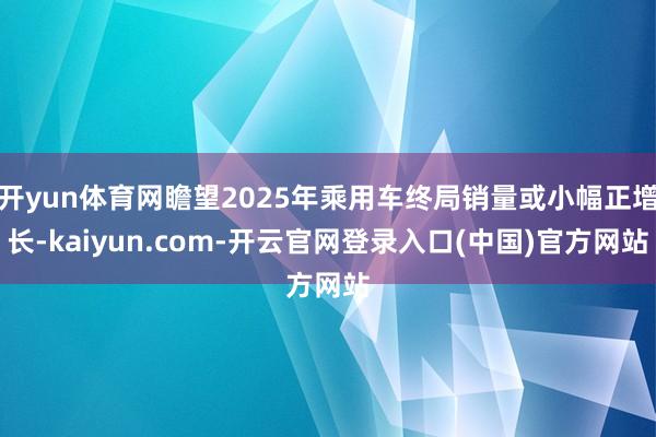 开yun体育网瞻望2025年乘用车终局销量或小幅正增长-kaiyun.com-开云官网登录入口(中国)官方网站