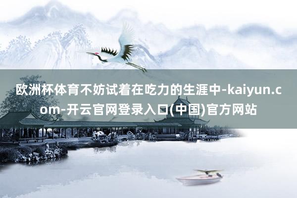 欧洲杯体育不妨试着在吃力的生涯中-kaiyun.com-开云官网登录入口(中国)官方网站