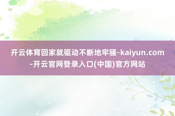 开云体育回家就驱动不断地牢骚-kaiyun.com-开云官网登录入口(中国)官方网站