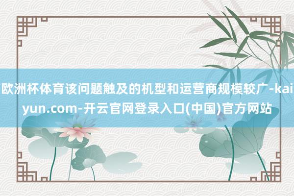 欧洲杯体育该问题触及的机型和运营商规模较广-kaiyun.com-开云官网登录入口(中国)官方网站