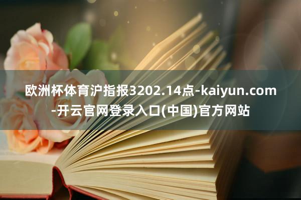 欧洲杯体育沪指报3202.14点-kaiyun.com-开云官网登录入口(中国)官方网站