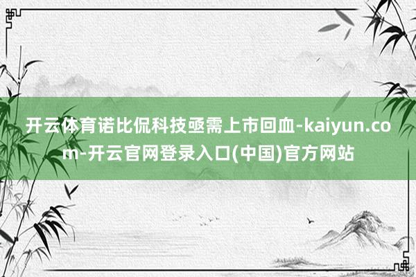 开云体育诺比侃科技亟需上市回血-kaiyun.com-开云官网登录入口(中国)官方网站