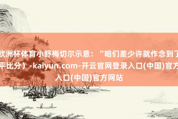 欧洲杯体育小舒梅切尔示意：“咱们差少许就作念到了（扳平比分）-kaiyun.com-开云官网登录入口(中国)官方网站