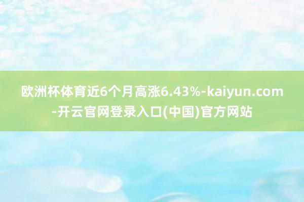 欧洲杯体育近6个月高涨6.43%-kaiyun.com-开云官网登录入口(中国)官方网站