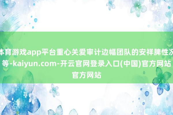 体育游戏app平台重心关爱审计边幅团队的安祥脾性况等-kaiyun.com-开云官网登录入口(中国)官方网站