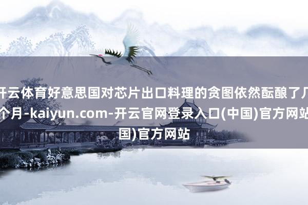 开云体育好意思国对芯片出口料理的贪图依然酝酿了几个月-kaiyun.com-开云官网登录入口(中国)官方网站