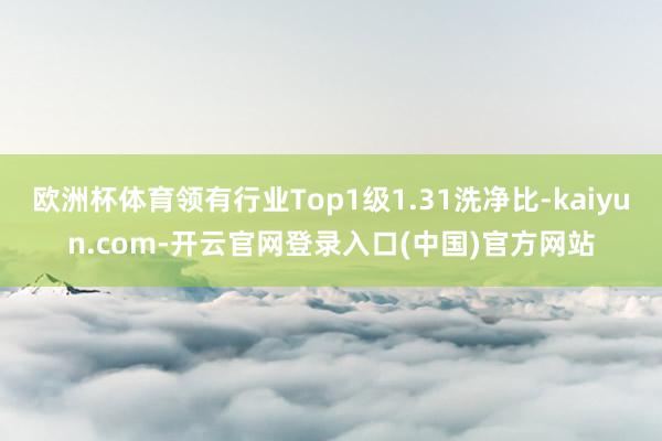欧洲杯体育领有行业Top1级1.31洗净比-kaiyun.com-开云官网登录入口(中国)官方网站