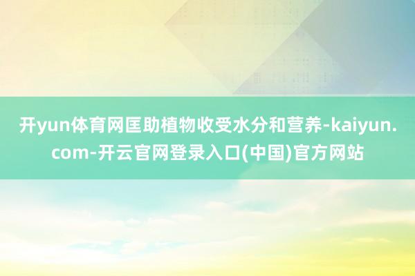 开yun体育网匡助植物收受水分和营养-kaiyun.com-开云官网登录入口(中国)官方网站