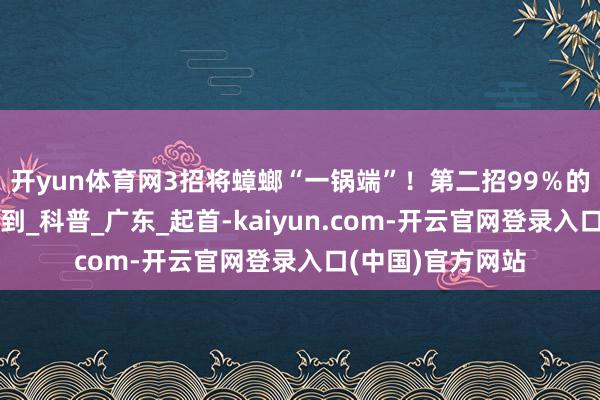 开yun体育网3招将蟑螂“一锅端”！第二招99％的东谈主皆没作念到_科普_广东_起首-kaiyun.com-开云官网登录入口(中国)官方网站